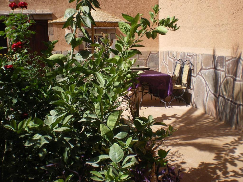 Maison D' Hotes Ait Hmid Nkob Exterior photo